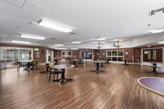 DSC08146-